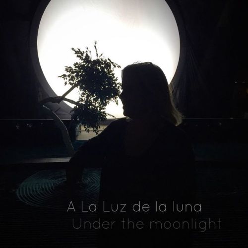 You may also hear “bajo La luz de la luna” Hasta pronto, Debbie #spanishtidbits #learnspanish #prcti