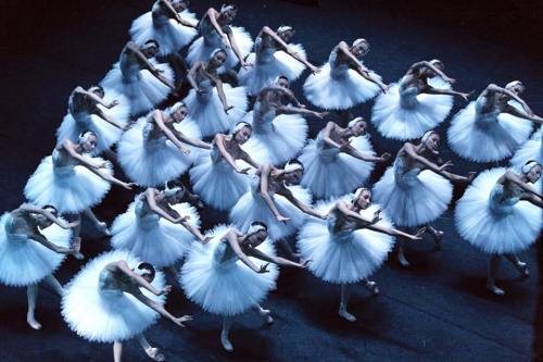 viα yoiness: The National Ballet of China’s Swan Lake to the Queen E Theatre