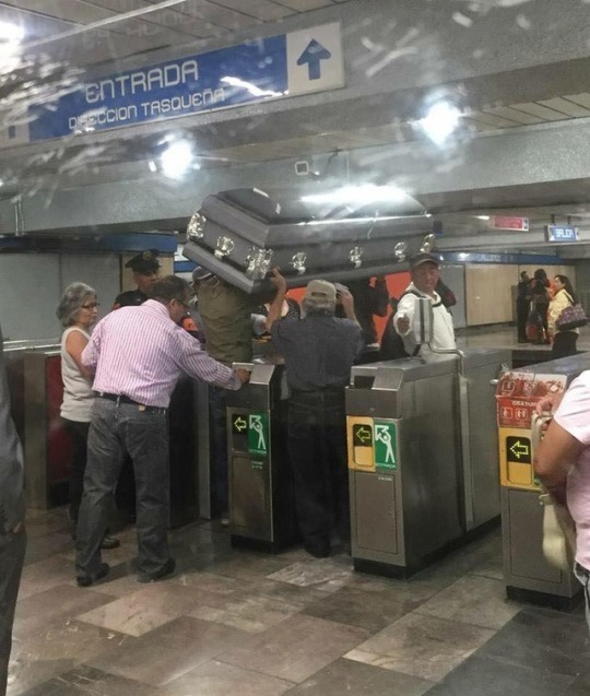 desiignercucci:  papigetbusy:  When I die I want to hop the train with my body one