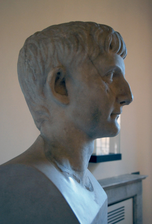 myglyptothek:Portrait of Germanicus. From villa Frediani Dionigi, Lanuvio. Early I cenury AD. Fine-g
