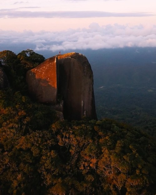 oceaniatropics:    Manjal Jimalji, Queensland,