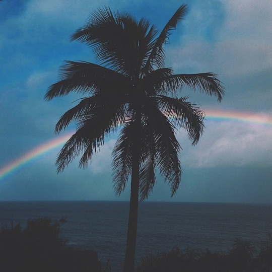 relaxk:  good vibes