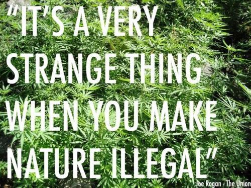 theceg:  Legalize it. 