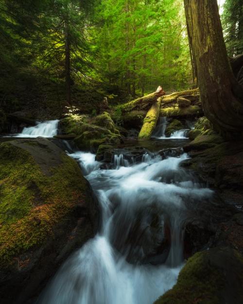 virtuallyinsane: Panther Creek Falls, Washington, USA / Dope Squad