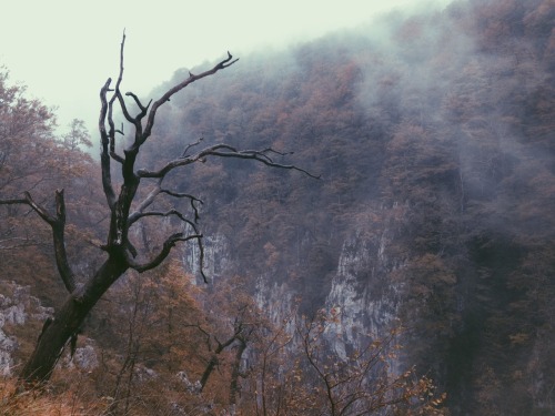 thedeerandtheoak: We spent the weekend in the Pyrenees for our first year anniversary (which is actu