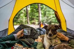 campbrandgoods:  A doggone perfect start to the day #campbrandgoods #keepitwild  Photo by: @gpowersfilm 