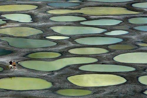 terra-mater:Spotted lake, CanadaCovering 38 acres of the Osoyoos Indian Reservation in British Colum