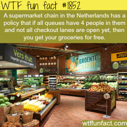 wtf-fun-factss:  Jumbo Supermarkets - WTF