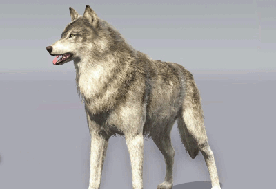 bear-montana:      Metal Gear Solid V: The Phantom Pain – Customization  D-Dog
