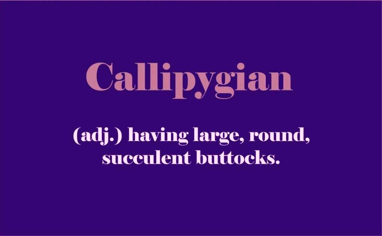 CALLIPYGIAN You might not often need a word for 'having a nice