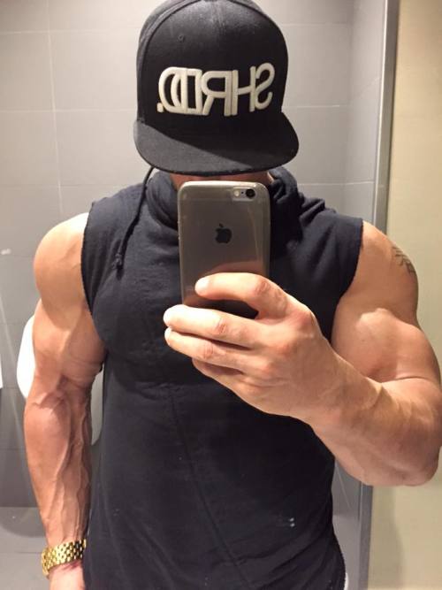 Adonis Files