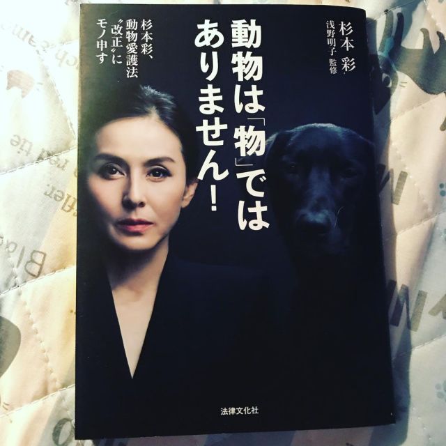 杉本彩tumblr Posts Tumbral Com 杉本彩tumblr Posts Tumbral Com