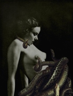 carboxamide-acid:Mistress of the snakes.