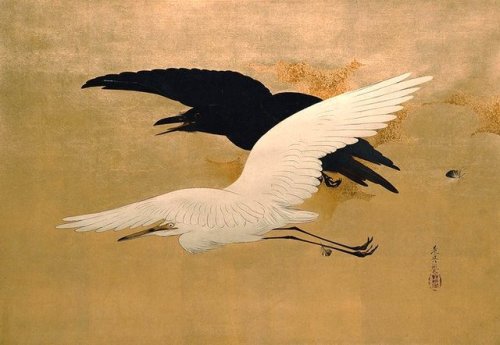 sakurabreeze:Shibata Zeshin“White Heron and Raven Flying” (1880)