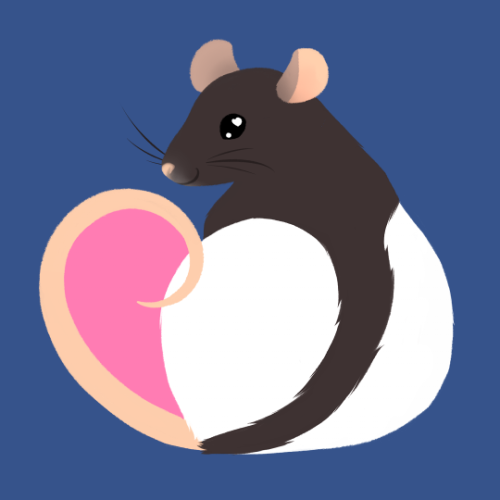 rendigo:Please help Roxy stay healthy!Our rat Roxy keeps having problems. She’s fallen off the couch