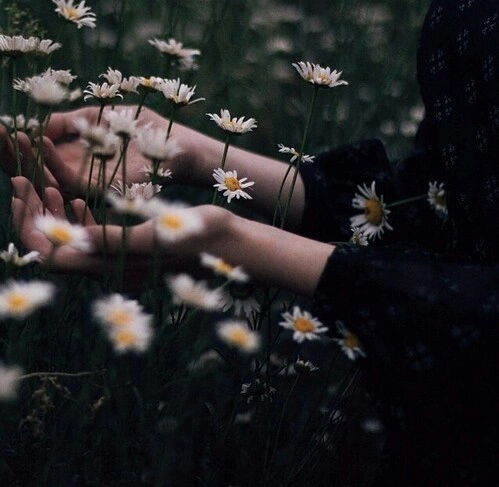 teenagehipst3r:  Only hipster posts