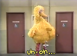 tedlyanderson: queerlyalex:  raychus: hi i just love sharing my fav scene from sesame street ever big bird is canonically nonbinary  Same for Gonzo 