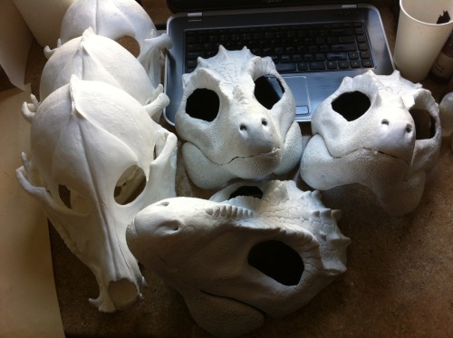 kierstinlapatka:Since people seem to only respond to imagery, I’m posting again: 3 RAPTOR BLANKS FOR