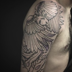 Phoenix Shoulder Tattoo Artist: Rafael Macieira
https://www.instagram.com/rafaciera.tattoo/