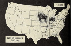 dogslug:  lemondemon: nemfrog:  “Each dot represents 5,000 hogs.” World Geography. 1948.   untapped infinite hog supply in the ocean  