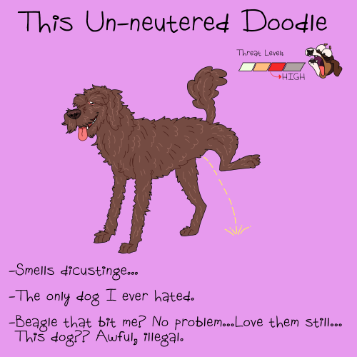 Real People My Dog Soup Saw That Terrified Her, Ranked By Threat Level.