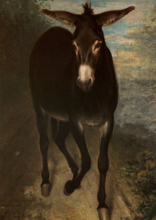 A Sicilian Ass, by Benjamin Robert Haydon, Tabley House, Tabley Inferior.