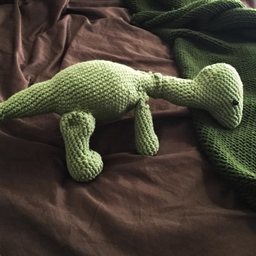 Apatosaurus is eating my blanket! . . . . . #dinosaur #dinosaurcrochet #toy #cute #crochetconcup