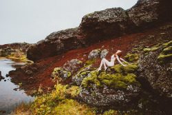 corwinprescott:    “Into The Wild”Iceland 2015Corwin Prescott - Svala - Support this project on Patreon   