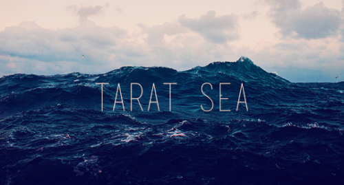 The Roshar Project↳ Oceans, Seas and LakesRoshar has several significant large bodies of water in th