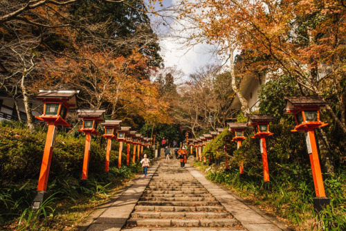 Thursday 23rd November 2017. 12:00 Mt. Kurama Kyoto.Today was another public holiday, which I didn’t