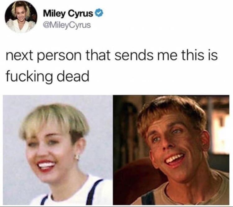 memehumor:  There’s a party in the A S Y L U M