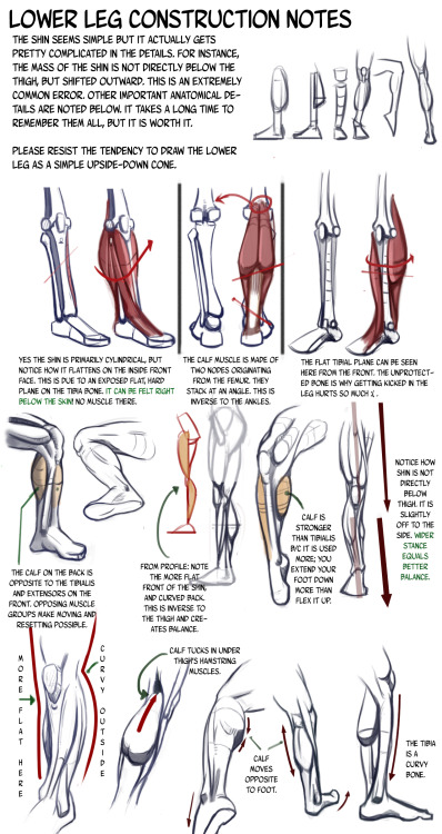nayrosartrefs: Some awesome leg tutorials done by n3m0s1s.