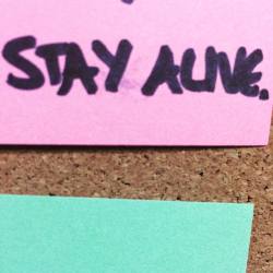 DAY ONE HUNDRED AND THIRTEEN. Solid advice. #the100