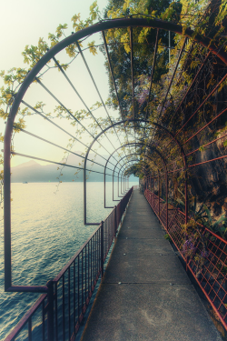 teenageers:  Italy - Lago di Lecco | By Roberto Roberti