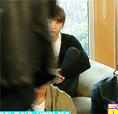 jangdragwoo-deactivated20190804:  Eagle Eye Leo and then crawling back into his shell 