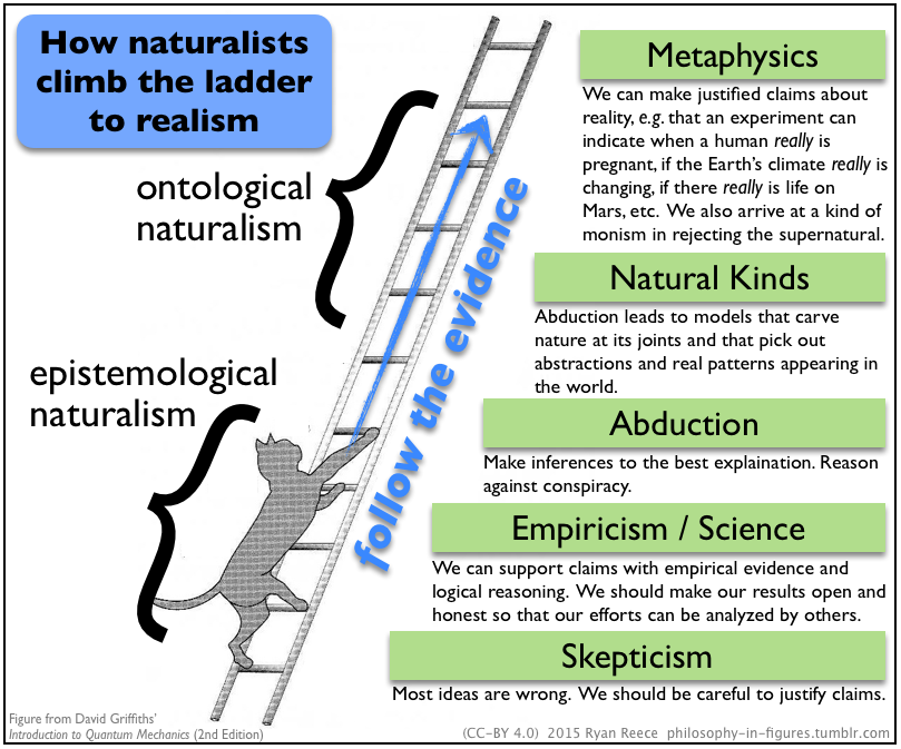how naturalists climb the ladder to realism. #MoveNaturalism
