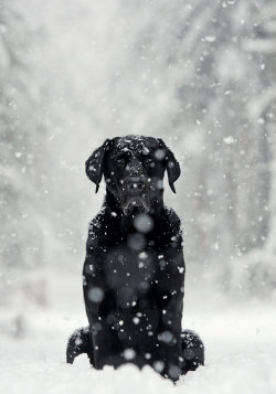 10bullets:    by Viktoria Haack   