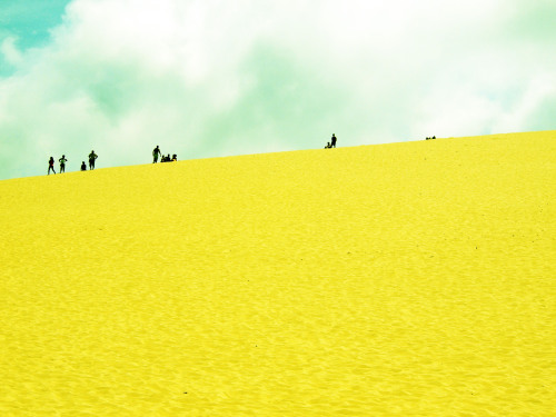 Arcachon dunes