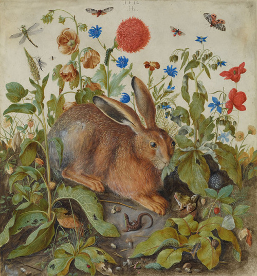 Hans Hoffmann (Nuremberg 1545-1591 Prague), A hare among plants