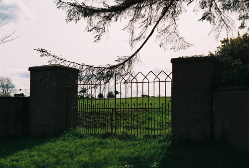 jacindaelena:  Ireland by beefolksociety 