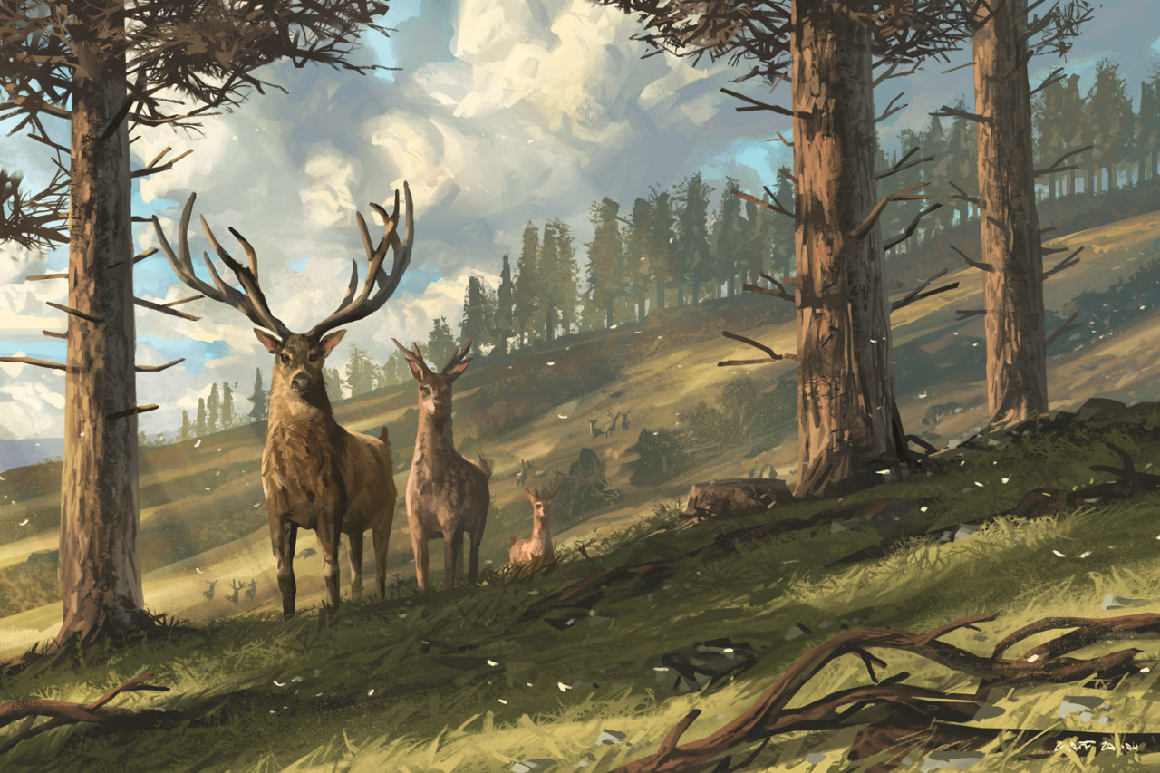 awesomedigitalart:  Anthony Wolff site - facebook - deviantart