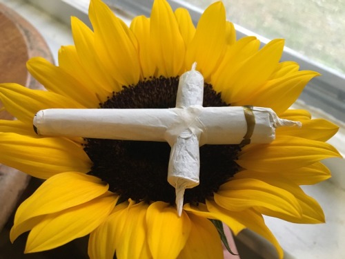 bluntburningprincess: A little before and after