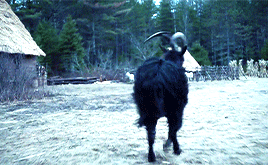 deeptheon:get to know me: [4/?] favorite moviesWouldst thou like to live deliciously?The Witch (2015