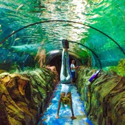 gypsetgoddess:  Underwater handstand… Well,