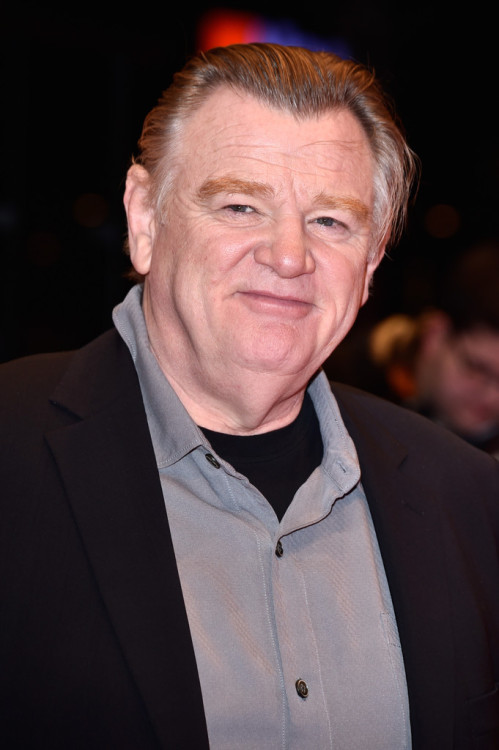 maturemenoftvandfilms: Brendan Gleeson BORN: March 29, 1955 in Dublin, IrelandPHYSIQUE: Husky BuildH