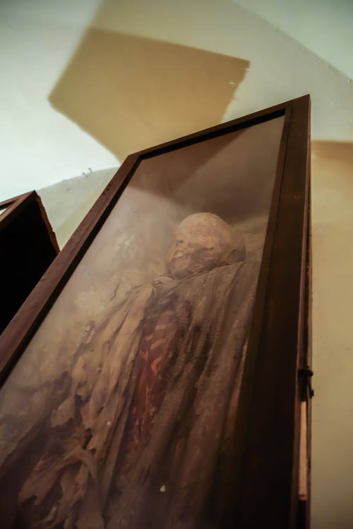 allthesaintsyoushouldknow:  The Carmelite Monastery of San Ángel Mexico City, Mexico  I’m currently working on a full piece for Atlas Obscura on theses guys but I couldn’t wait to share the photos. These are naturally occurring mummies on display