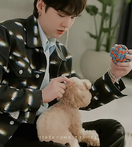 Min Yoongi & Dogs