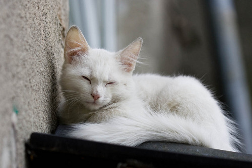untitled by Ville Misaki on Flickr.