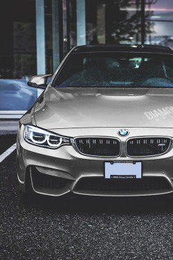 wearevanity:  johnny-escobar:  M4  Dear Santa,