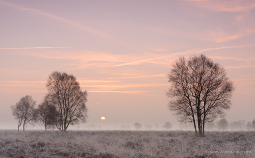 estheticsly: Morning mist Bargerveen by Kees Waterlander